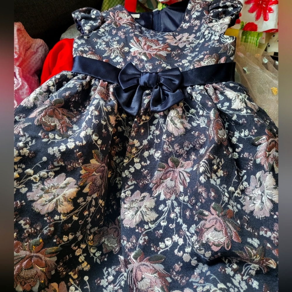 24m Bonnie Baby dress